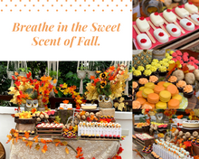 Load image into Gallery viewer, Dessert Table Set-Up
